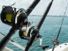 poloplayer-pesca