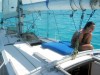 velero403